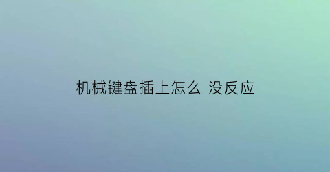 机械键盘插上怎么 没反应